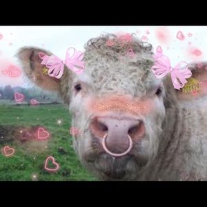 Meet your Posher, Dawanna